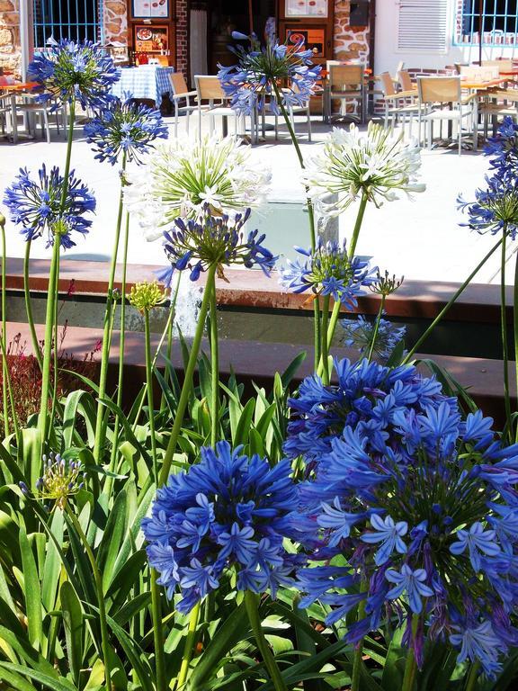 Hostal Rey Santa Eulària des Riu Exterior foto