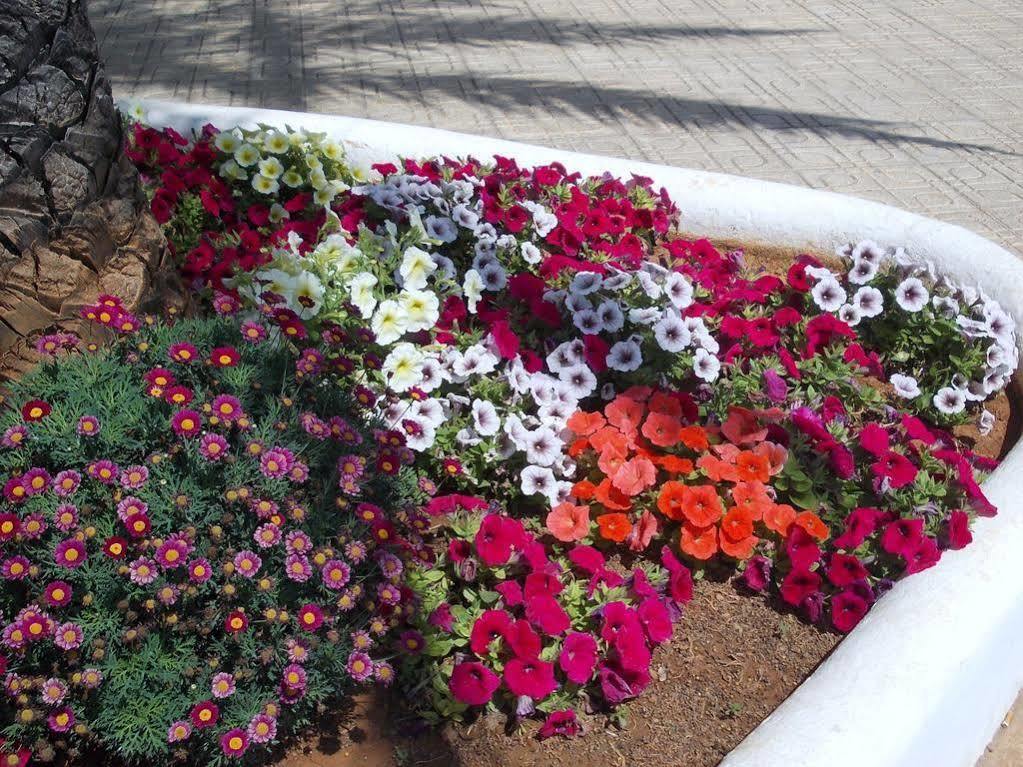 Hostal Rey Santa Eulària des Riu Exterior foto
